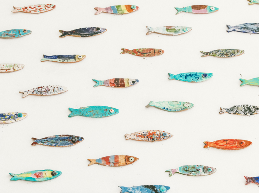 In the image, we can see a large number of fish, of the same shape and size but of different colors, on a white background.