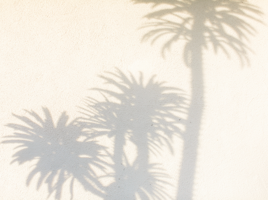 In the image we can see the refraction of the shadows of palm trees on the ground.