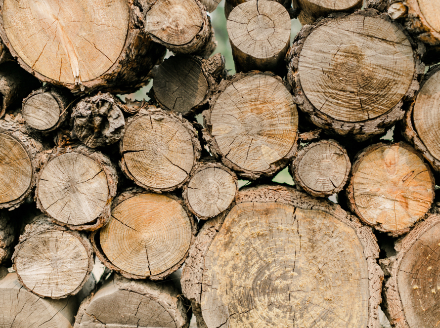 In the image, we can see a large number of tree trunks on top of each other.