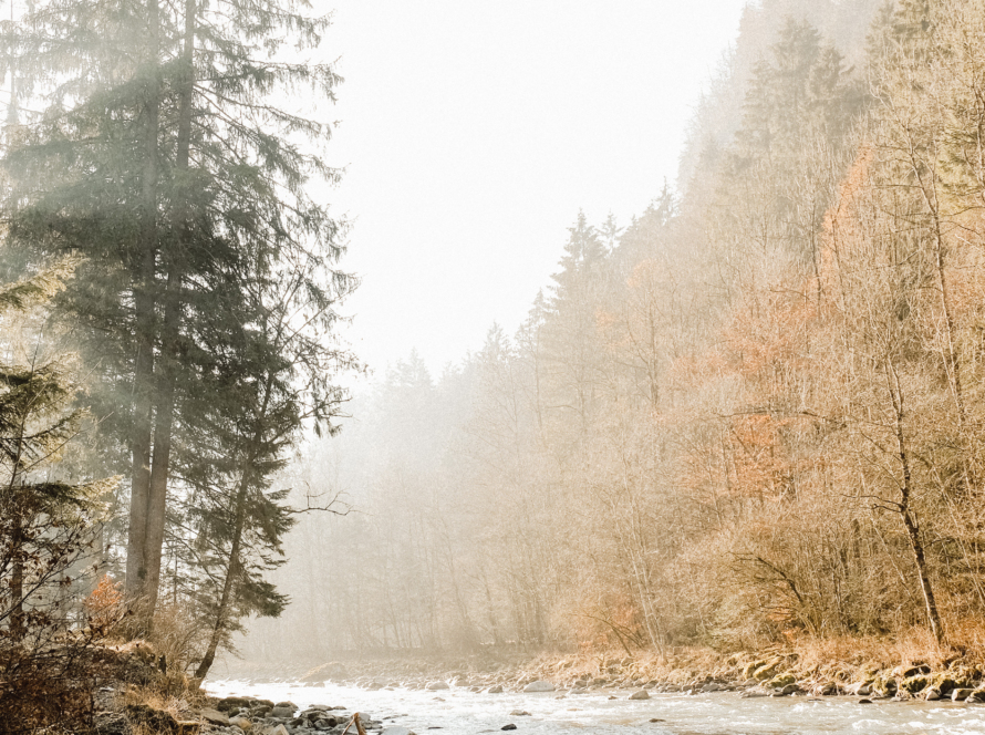 In the image, we can see a river running between a forest and a mountain valley. The river looks shallow, and some rocks can be seen on its banks.