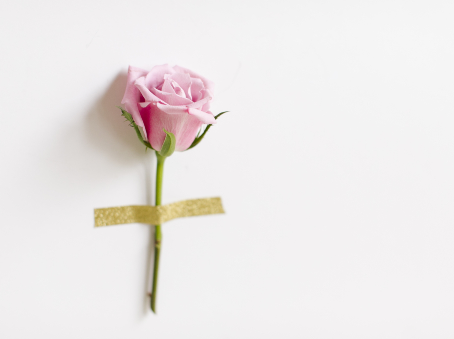 In the image we can see a rose stuck to a wall with adhesive tape.